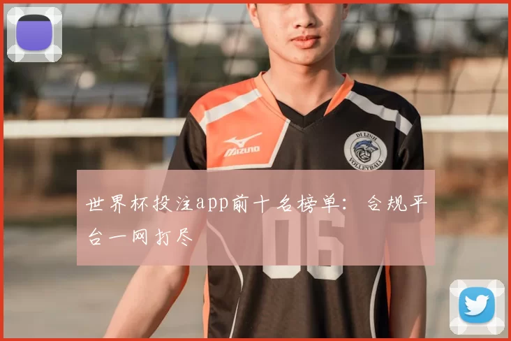 世界杯投注app前十名榜单：合规平台一网打尽