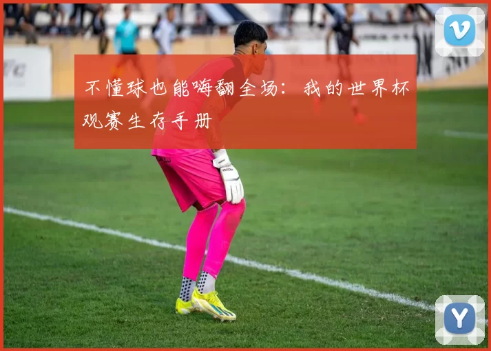 不懂球也能嗨翻全场：我的世界杯观赛生存手册