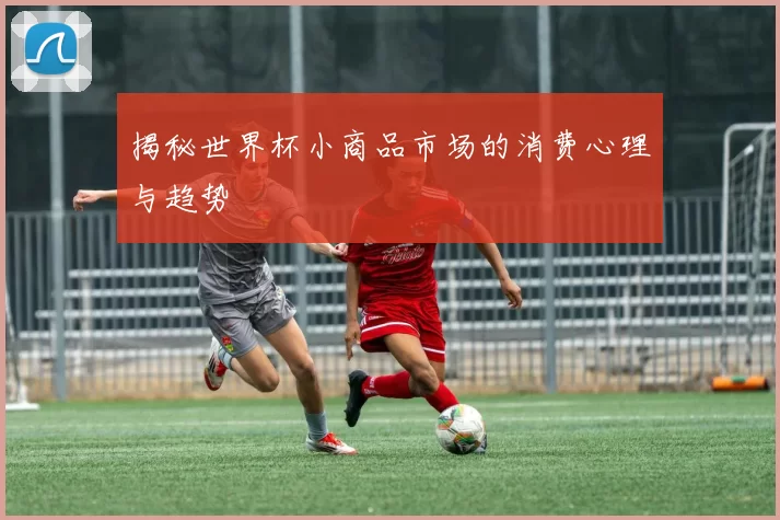 揭秘世界杯小商品市场的消费心理与趋势