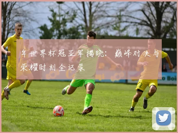 年世界杯冠亚军揭晓：巅峰对决与荣耀时刻全记录