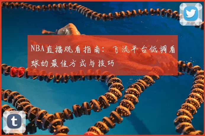 NBA直播观看指南:飞流平台低调看球的最佳方式与技巧