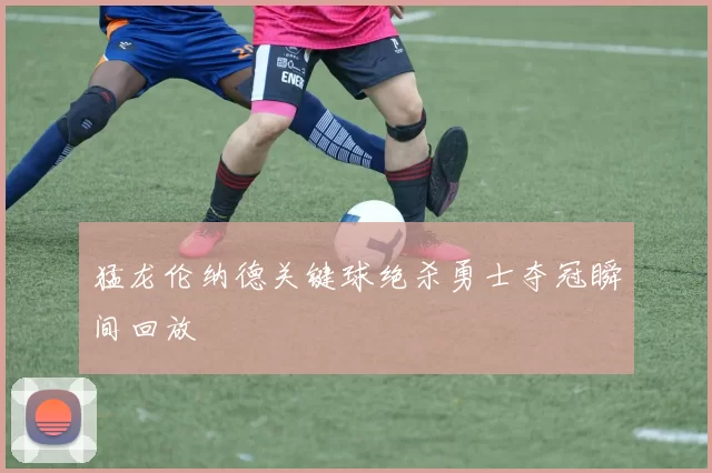 猛龙伦纳德关键球绝杀勇士夺冠瞬间回放