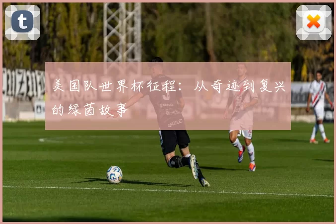 美国队世界杯征程：从奇迹到复兴的绿茵故事