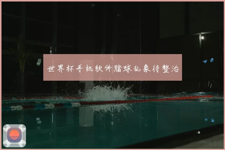 世界杯手机软件赌球乱象待整治